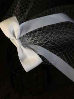 Accessoires de cheveux de mariée