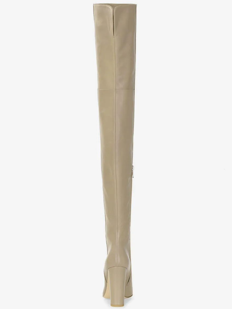 Bottes cuissardes pour femmes couleur unie bout pointu talon épais cuissardes