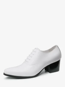 Chaussures habillées pour homme Chaussures habillées classiques en cuir à bout rond de qualité