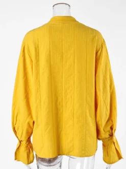 Chemise oversize à manches bouffantes texturées et col montant boutonné