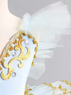 Costume de ballerine pour spectacle de ballet avec tutu de fée papillon