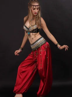 Costume de danse du ventre 3 pièces sarouel costumes vêtements de danse pour les femmes