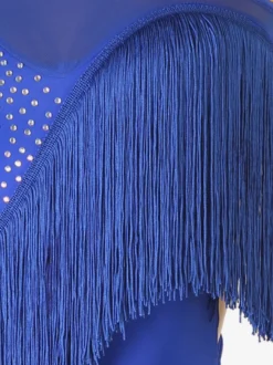 Costume De Danse Latine Manche Longue Une Épaule Nue Bleu Royal Femmes Lycra Spandex Robe Dos Nu Élégant Strass Frange