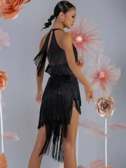 Costume de danse latine pour femmes ensemble à franges robe élégante costume de danse
