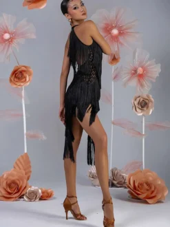 Costume de danse latine pour femmes ensemble à franges robe élégante costume de danse