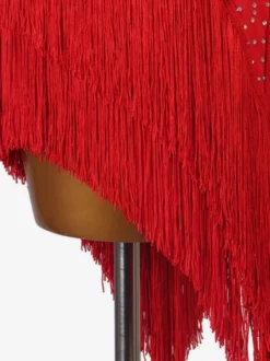 Costume de danse latine Robe Lycra Spandex pour femme rouge Vêtements de danse de danseuse latine