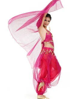 Costume de Danse Orientale En Chiffon Avec Foulard Déguisements Halloween