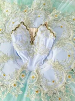 Costumes de danse de ballet bleu femme enfant ballerine volants dentelle robe en polyester vêtements de danse