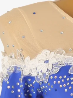 Costumes de danse de salon bleu royal femme col bijou Lycra Spandex robe fleurs robe de danse