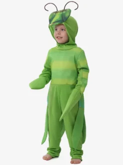 Costumes Halloween Enfants Manta Verte Déguisement