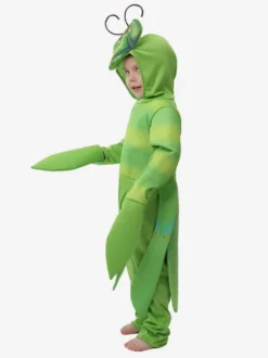 Costumes Halloween Enfants Manta Verte Déguisement