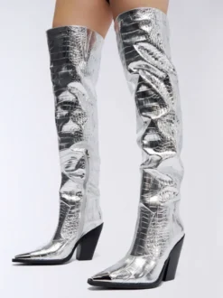 Cuissardes Argentées Femmes Bout Pointu Talon Épais Bottes Hautes