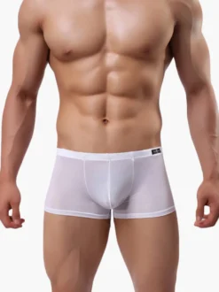 Culotte Sexy Nylon semi Sheer masculine