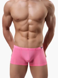 Culotte Sexy Nylon semi Sheer masculine