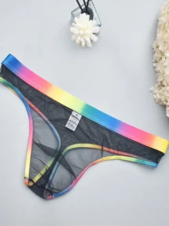 Culotte sexy pour homme Lingerie transparente bleue pour homme