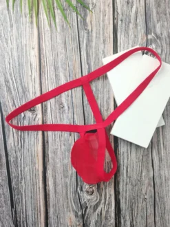Culotte string sexy en maille rouge transparente pour homme