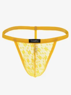 Dentelle Hommes Lingerie Piping Sheer Sexy String Lingerie