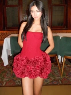 Ensemble deux pièces pour femme corset bustier et mini-jupe rose 3D tenue d'anniversaire 2026