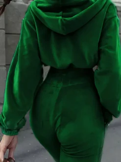 Ensemble pantalon et sweat à capuche court en velours pour femme coupe évasée fermeture éclair et cordon de serrage survêtement deux pièces