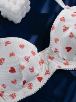 Ensembles 2 pièces de lingerie de mariée à motif cœurs : soutien-gorge et culotte blancs.