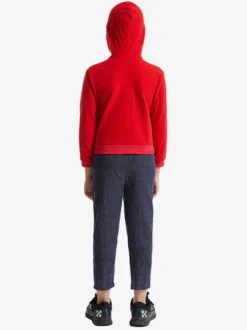 Halloween Costumes Marchandises de vacances Costumes de vacances Noël Fibre de polyester rouge