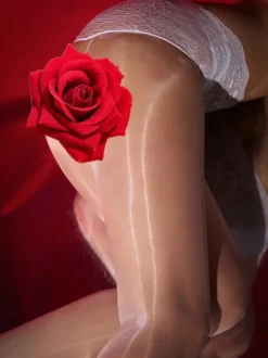 Lingerie Collants Bas Sexy Dentelle Rouge Collants Noirs Ultra Fins Transparents Gousset Soyeux Sans Couture