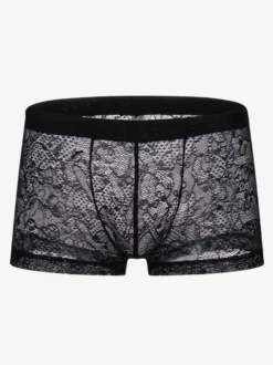 Lingerie Sexy troncs Lace pour hommes