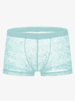 Lingerie Sexy troncs Lace pour hommes