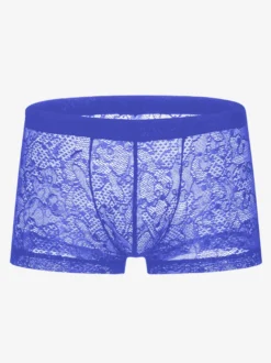 Lingerie Sexy troncs Lace pour hommes