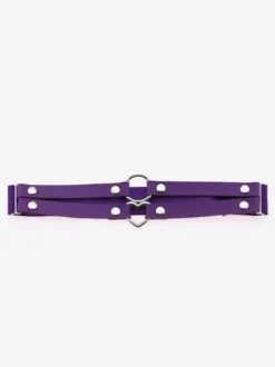 Porte-Jarretelles Pour Cuisses Gothique Fête Détails En Métal Sexy
