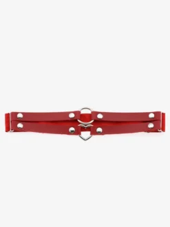Porte-Jarretelles Pour Cuisses Gothique Fête Détails En Métal Sexy