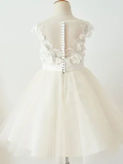 Robe de fille de fleur champagne en tulle col rond en dentelle boutonné sur dos robe cortège enfant