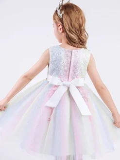 Robe de fille de fleur col rond en dentelle jupe en tulle noeud sur dos à zip robe cortège enfant