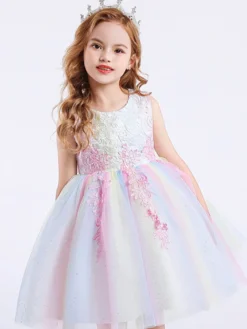 Robe de fille de fleur col rond en dentelle jupe en tulle noeud sur dos à zip robe cortège enfant