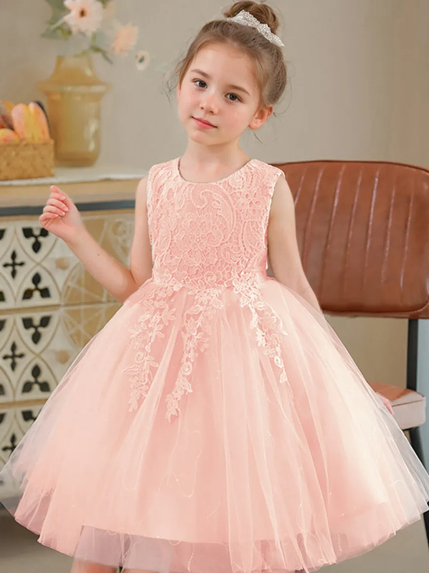 Robe de fille de fleur col rond en dentelle jupe en tulle noeud sur dos à zip robe cortège enfant