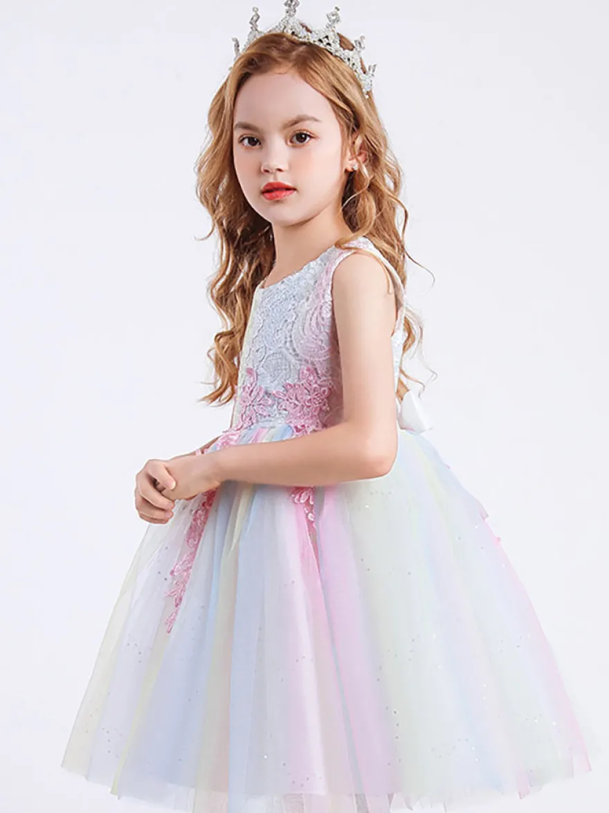 Robe de fille de fleur col rond en dentelle jupe en tulle noeud sur dos à zip robe cortège enfant