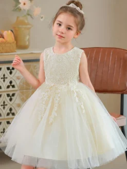 Robe de fille de fleur col rond en dentelle jupe en tulle noeud sur dos à zip robe cortège enfant
