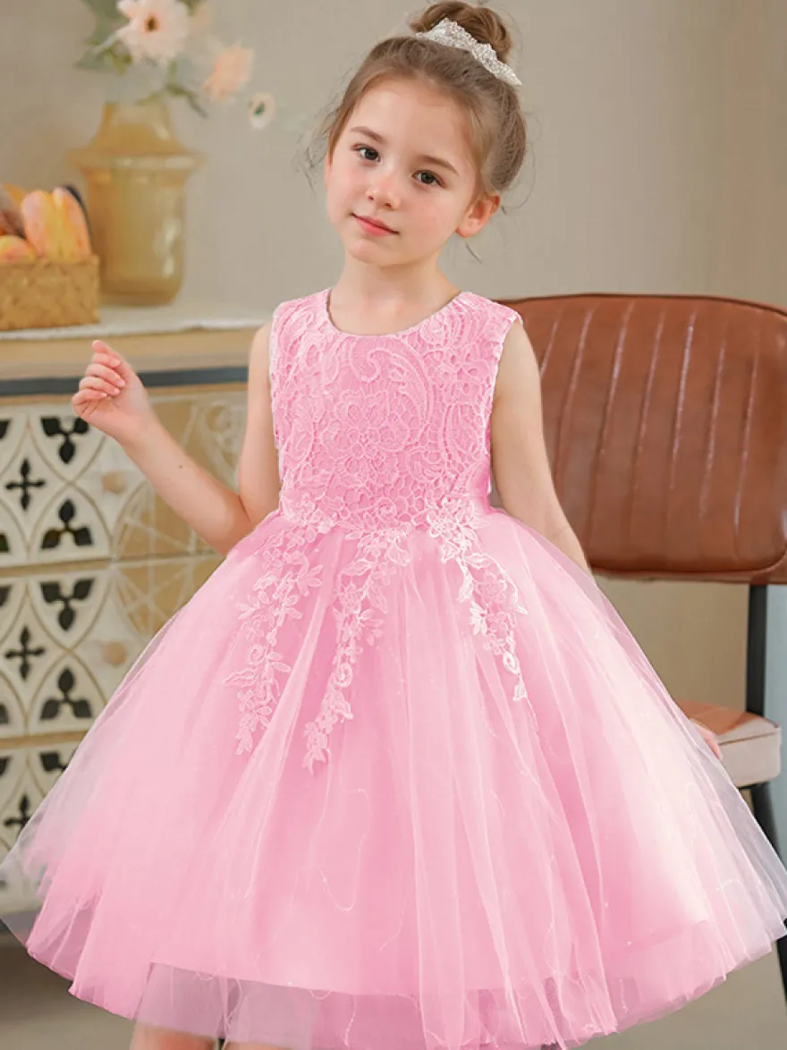 Robe de fille de fleur col rond en dentelle jupe en tulle noeud sur dos à zip robe cortège enfant