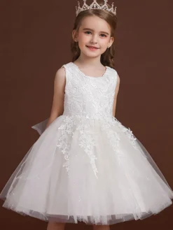 Robe de fille de fleur col rond en dentelle jupe en tulle noeud sur dos à zip robe cortège enfant