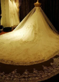 Robe de mariée princesse ivoire bustier paillete à traîne grande Robe de mariée luxe Robe de mariage église