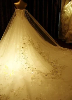 Robe de mariée princesse ivoire bustier paillete à traîne grande Robe de mariée luxe Robe de mariage église