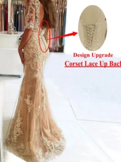 Robe de soirée champagne en tulle col rond demi-manche en dentelle laçage sur dos à traîne