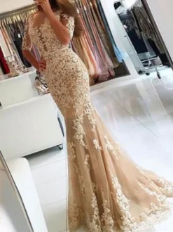 Robe de soirée champagne en tulle col rond demi-manche en dentelle laçage sur dos à traîne