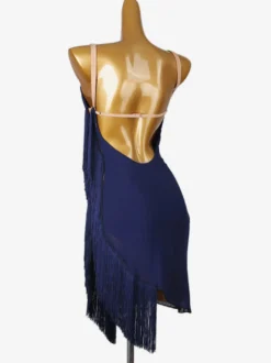 Robes de danse latine bleu marine foncé robe en Lycra et spandex pour femmes vêtements de danse Sexy pour danseuse latine