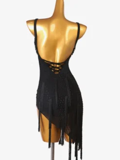 Robes de danse latine noir femmes Lycra Spandex robe Sexy frange danseuse latine vêtements de danse