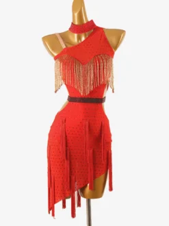 Robes de danse latine rouge femmes frange robe vêtements de danse