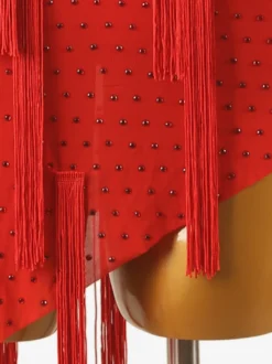Robes de danse latine rouge femmes frange robe vêtements de danse