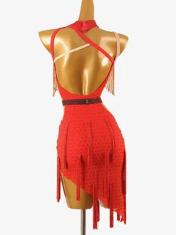 Robes de danse latine rouge femmes frange robe vêtements de danse