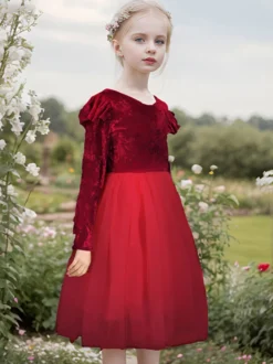 Robes de demoiselle d'honneur de mariage Robes pour occasions spéciales Rose Manches longues Volants