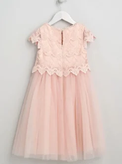 Robes de demoiselle d'honneur de mariage Robes d'occasion spéciale Rose pâle Manches courtes Dentelle